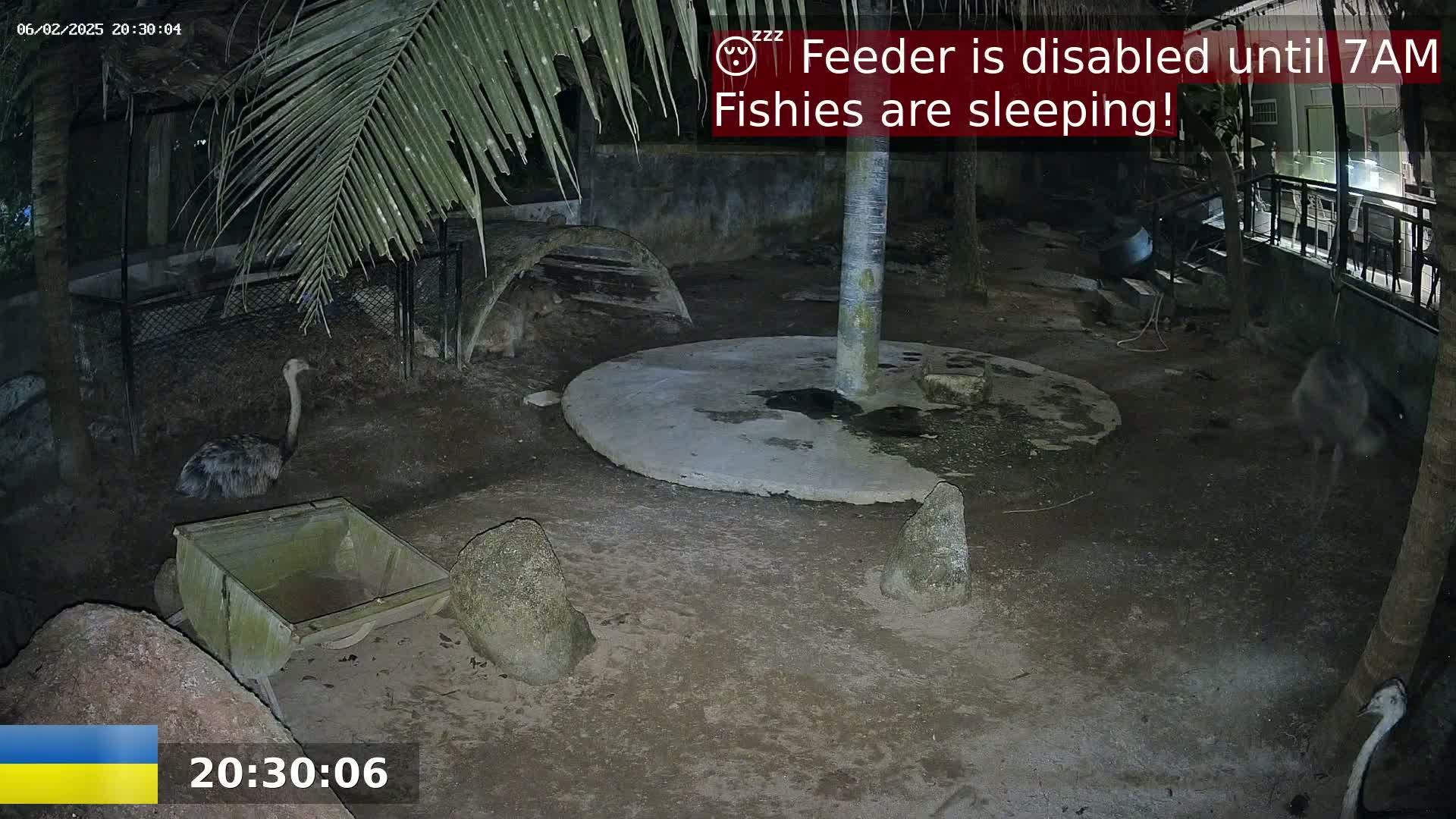 Zoo Cafe · Feed the Life of Fishes, Emus, Deers, Turtles, Malas  Live Cam  - Amphoe Ko Pha - Ngan, Surat Thani, Thailand