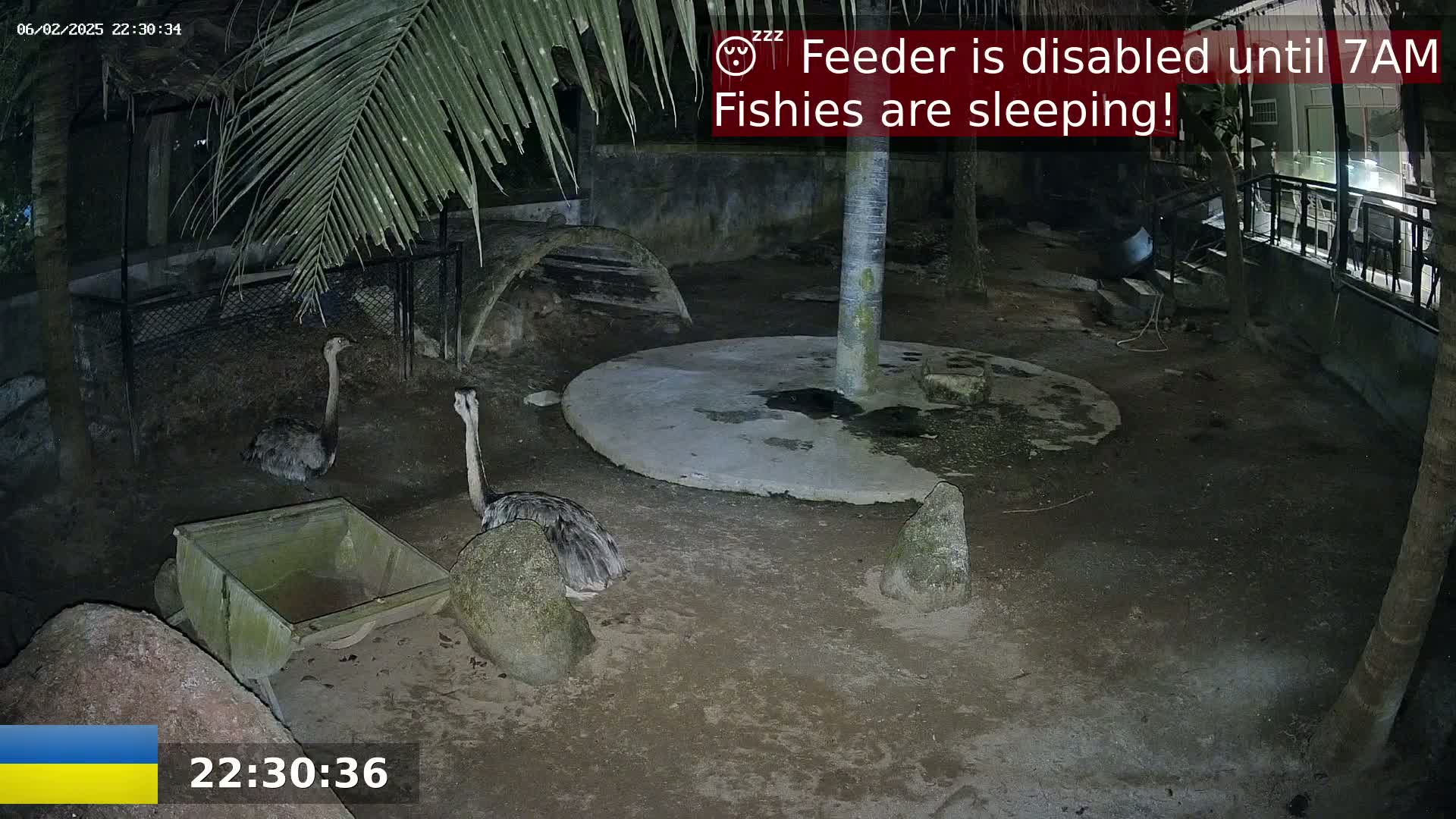 Zoo Cafe · Feed the Life of Fishes, Emus, Deers, Turtles, Malas  Live Cam  - Amphoe Ko Pha - Ngan, Surat Thani, Thailand