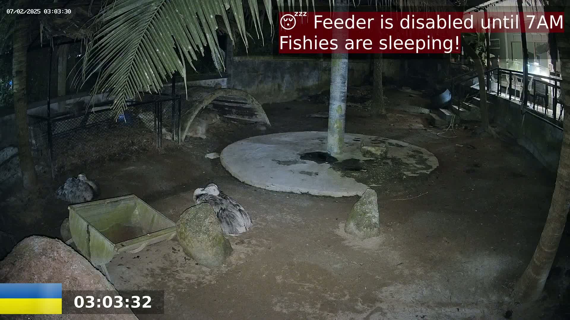 Zoo Cafe · Feed the Life of Fishes, Emus, Deers, Turtles, Malas  Live Cam  - Amphoe Ko Pha - Ngan, Surat Thani, Thailand