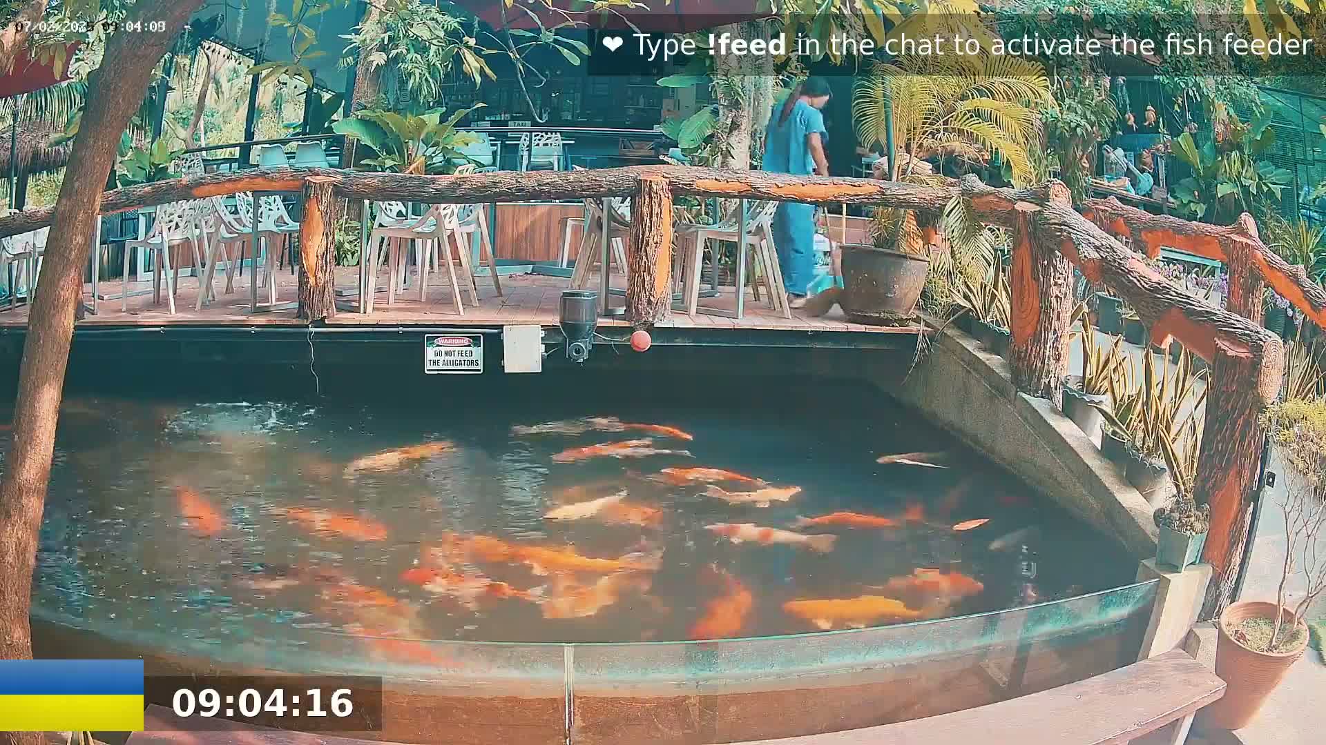 A koi pond with many orange and white fish is situated beneath an outdoor patio with wooden railings and white chairs.