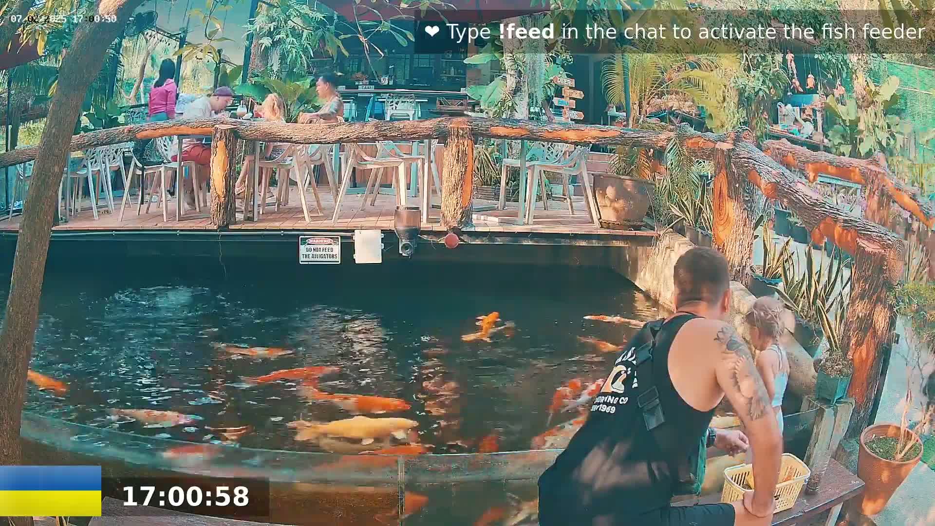 Zoo Cafe · Feed the Life of Fishes, Emus, Deers, Turtles, Malas  Live Cam  - Amphoe Ko Pha - Ngan, Surat Thani, Thailand