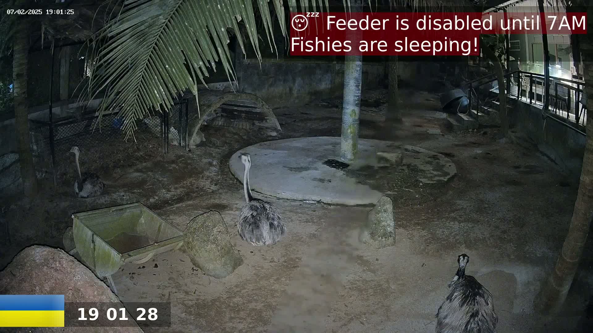 Zoo Cafe · Feed the Life of Fishes, Emus, Deers, Turtles, Malas  Live Cam  - Amphoe Ko Pha - Ngan, Surat Thani, Thailand