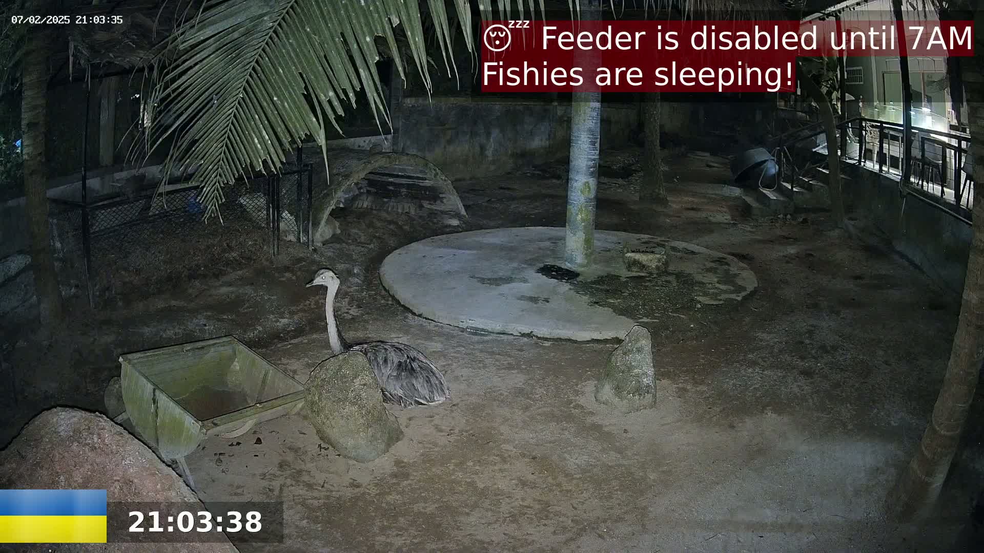 Zoo Cafe · Feed the Life of Fishes, Emus, Deers, Turtles, Malas  Live Cam  - Amphoe Ko Pha - Ngan, Surat Thani, Thailand