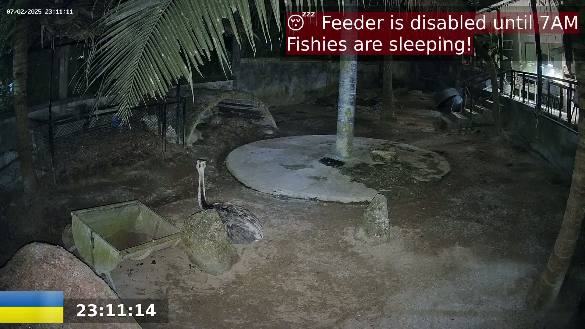Zoo Cafe · Feed the Life of Fishes, Emus, Deers, Turtles, Malas  Live Cam  - Amphoe Ko Pha - Ngan, Surat Thani, Thailand