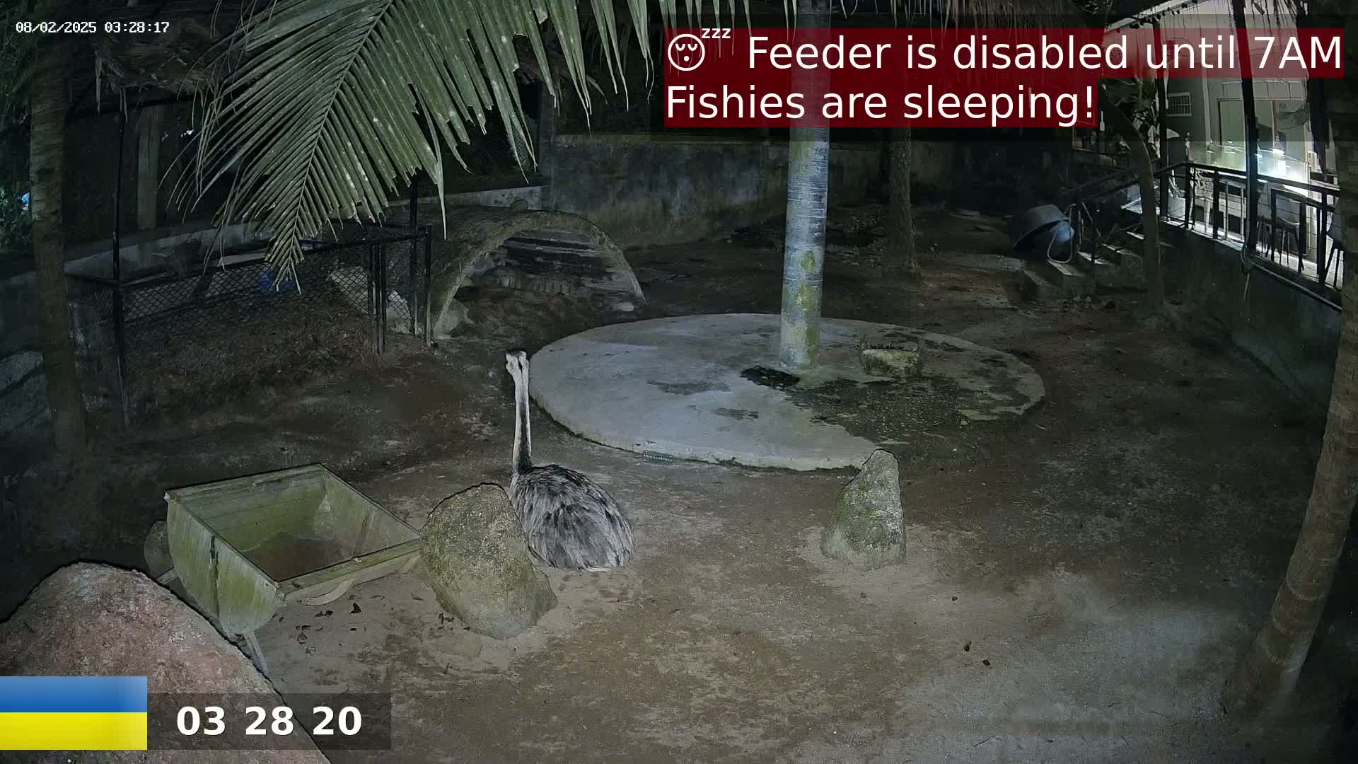 Zoo Cafe · Feed the Life of Fishes, Emus, Deers, Turtles, Malas  Live Cam  - Amphoe Ko Pha - Ngan, Surat Thani, Thailand