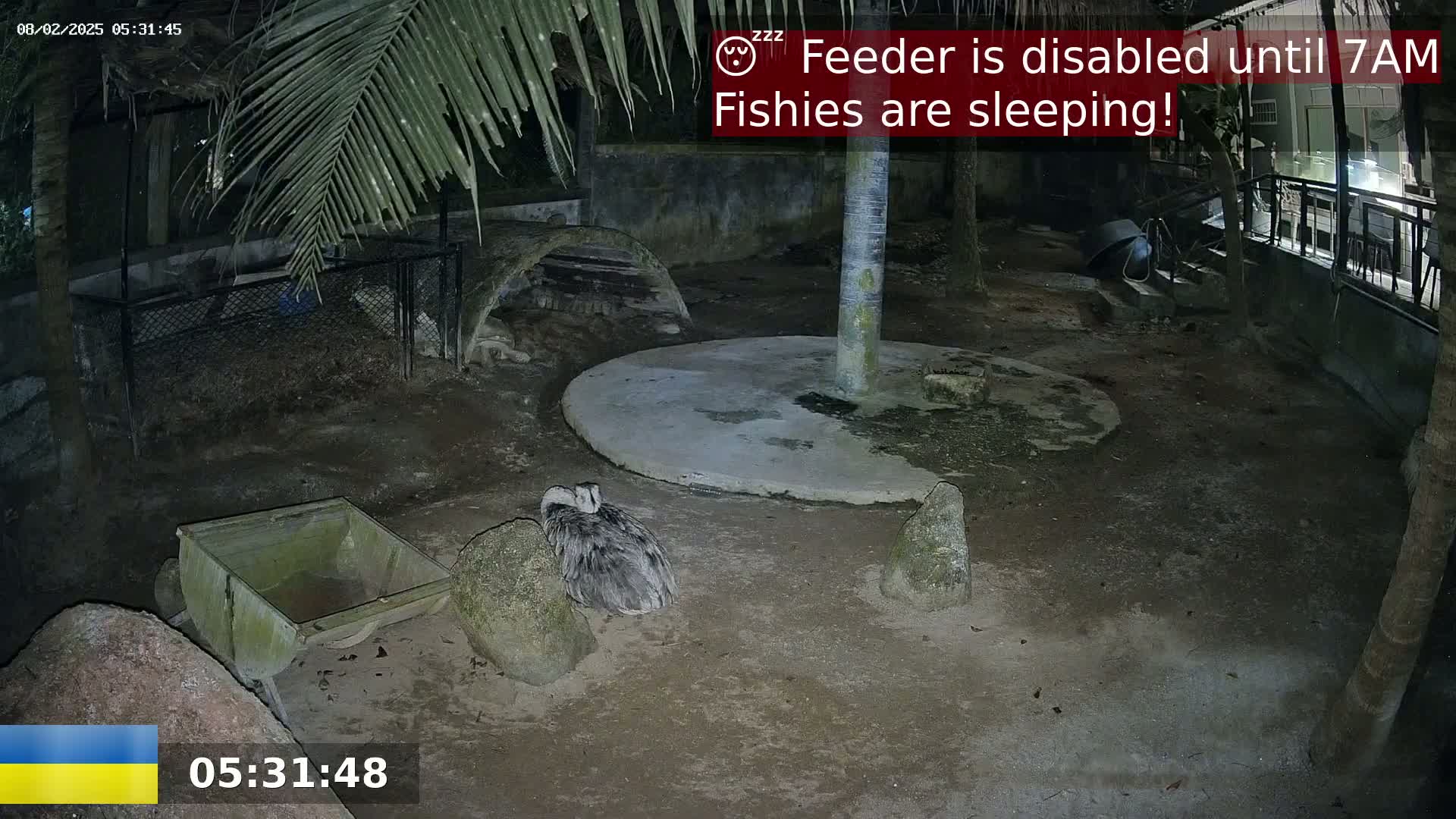A large bird sits near a small cart in a dark, outdoor enclosure at night.