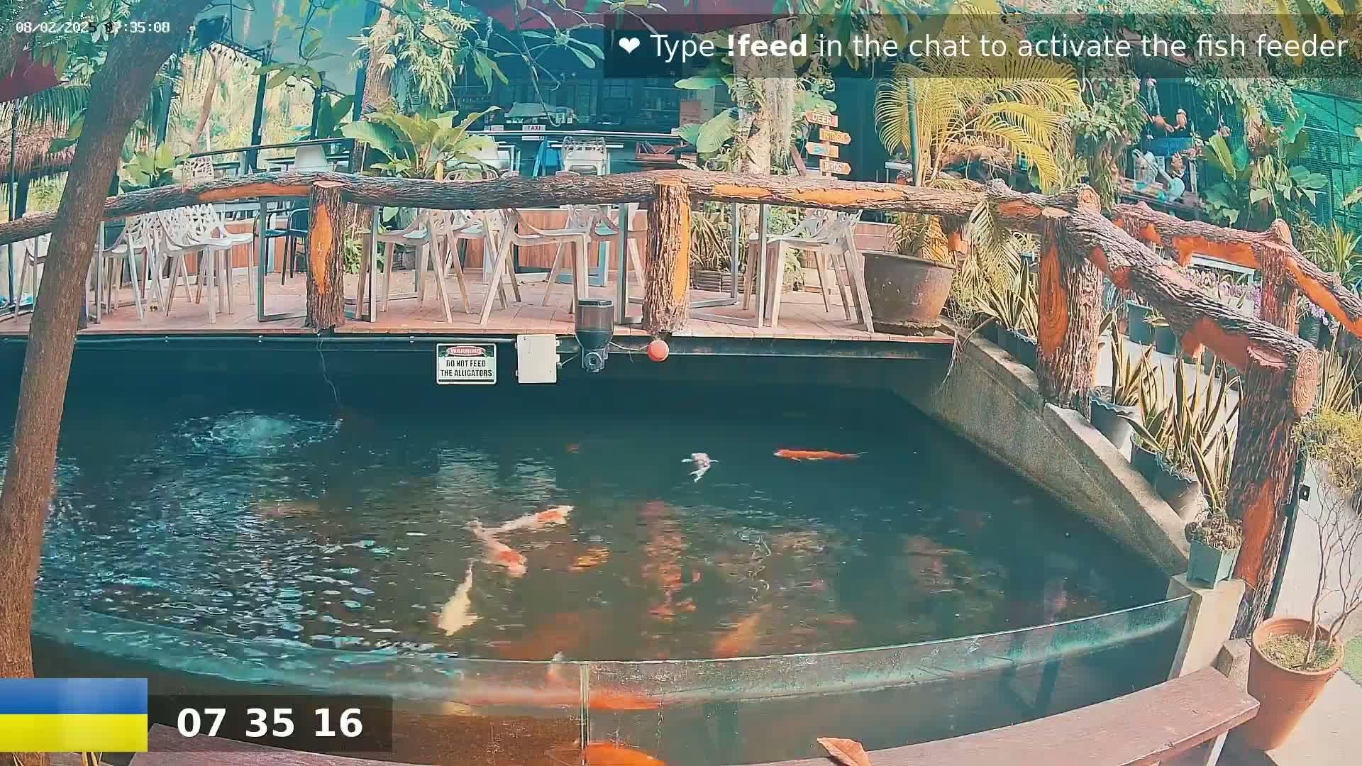 A koi pond with several fish swimming, situated beneath an outdoor patio with wooden railings and seating surrounded by lush tropical plants.