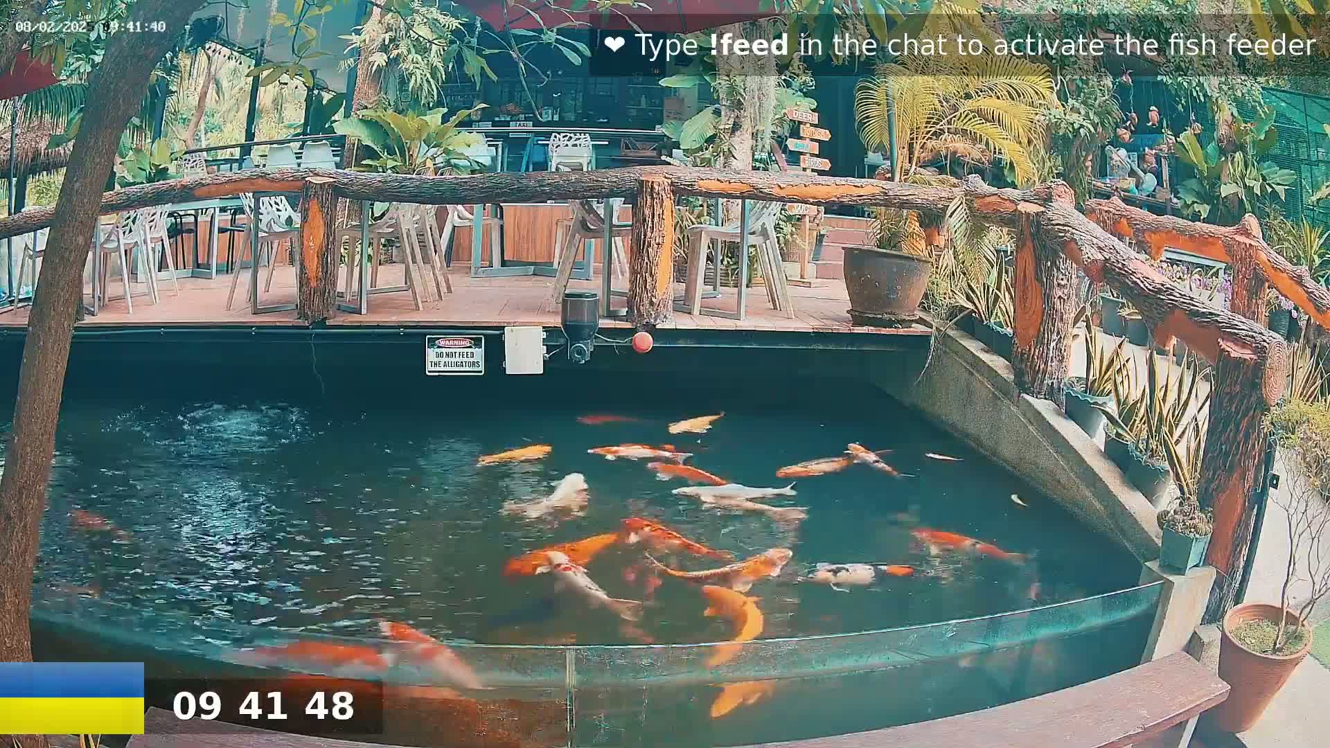 A koi pond with numerous colorful fish is situated beside an outdoor patio area with wooden railings and white metal chairs.