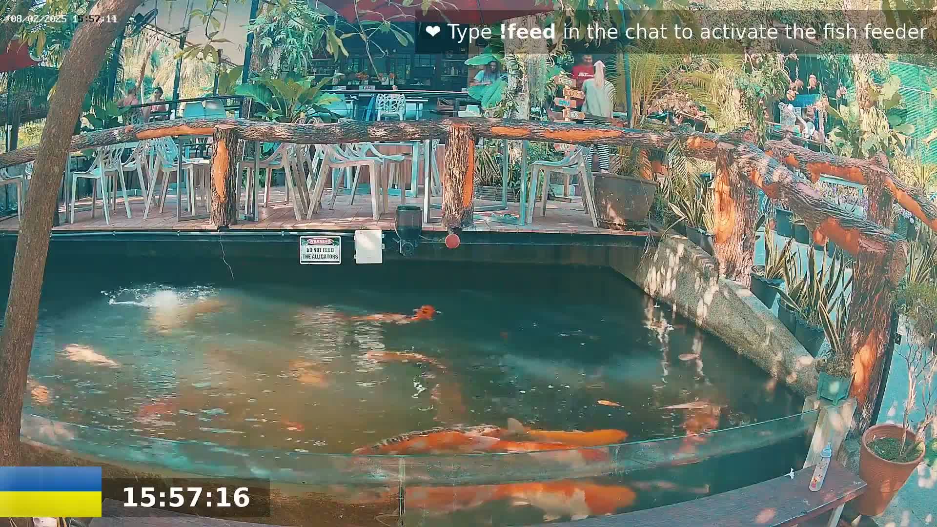 A pond filled with koi fish is situated below an outdoor patio with wooden railings and several white chairs, under a sunny sky.