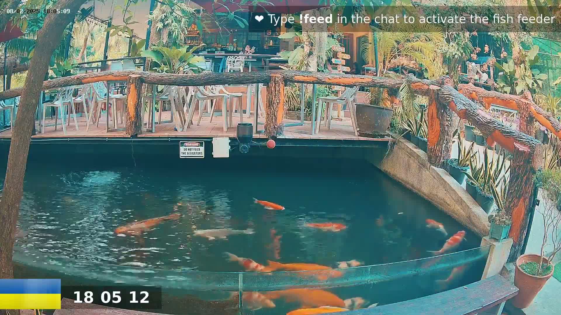 Koi fish swim in a pond surrounded by a wooden deck with outdoor seating and tropical plants.