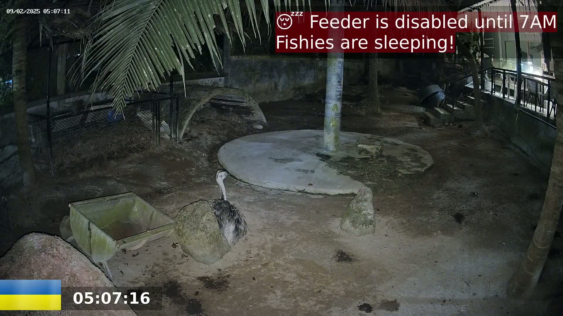 An ostrich-like bird sits near a small cart in a nighttime enclosure with a concrete circle and rocks.