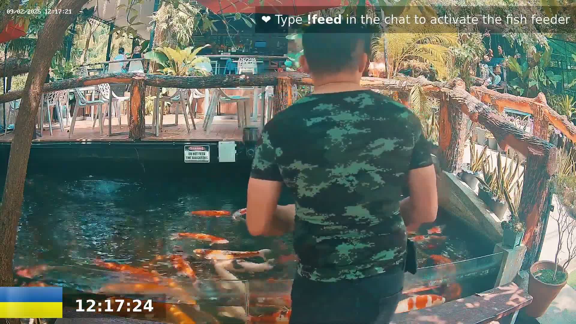 A person in camouflage clothing stands by a pond filled with colorful koi fish in a sunny outdoor setting.