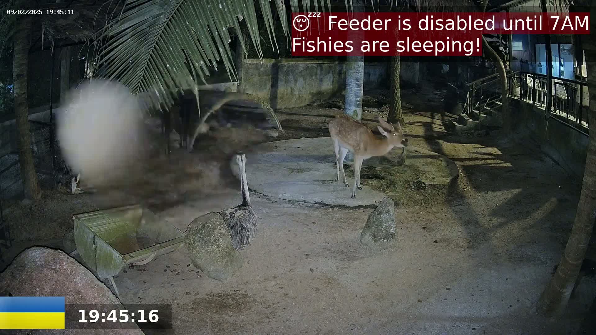 At night, an ostrich and a deer stand in an enclosure, under palm trees, near a small cart.
