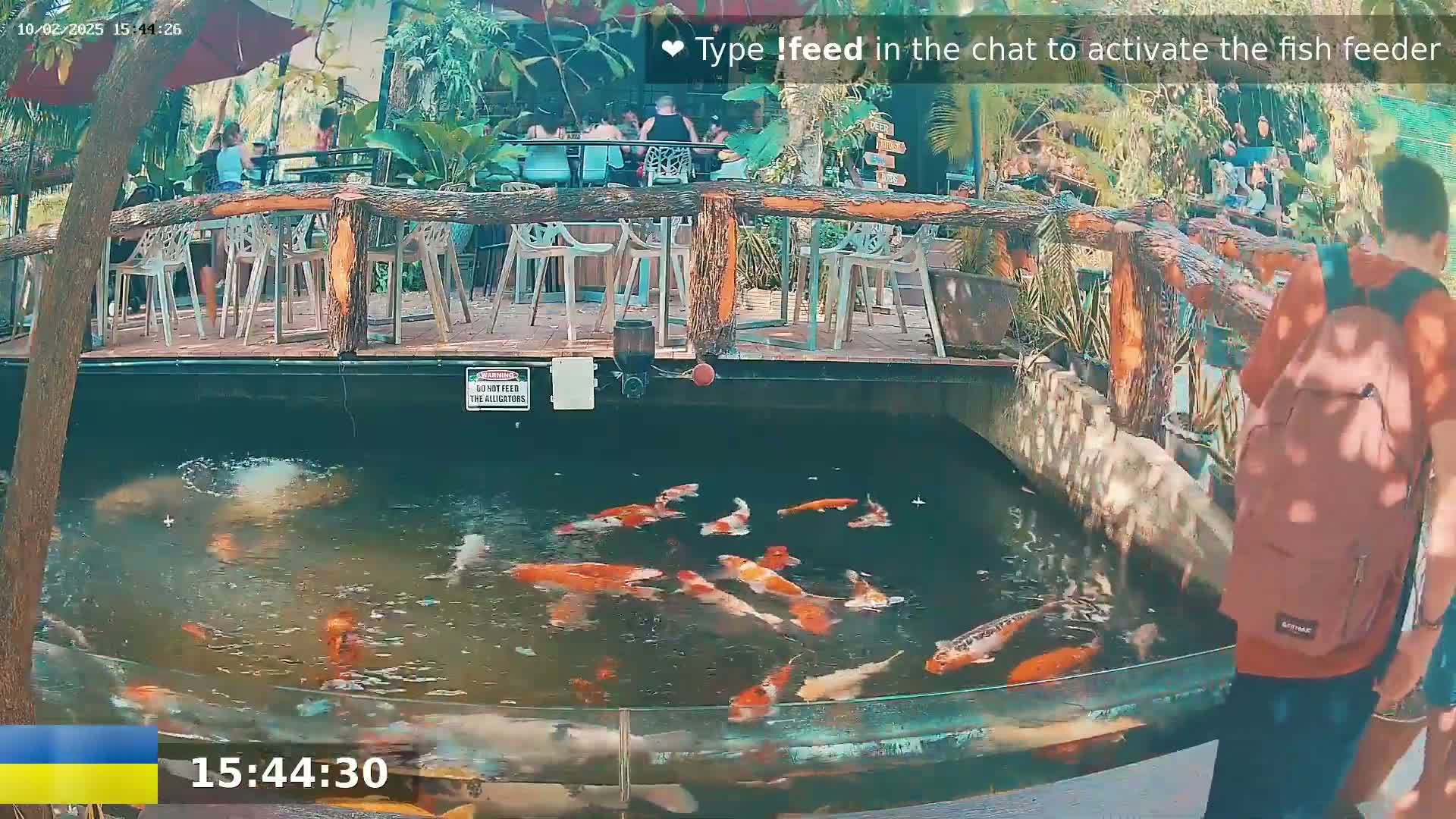 A koi pond with numerous orange and white fish is situated beneath an outdoor patio with wooden railings and seating, surrounded by lush greenery.