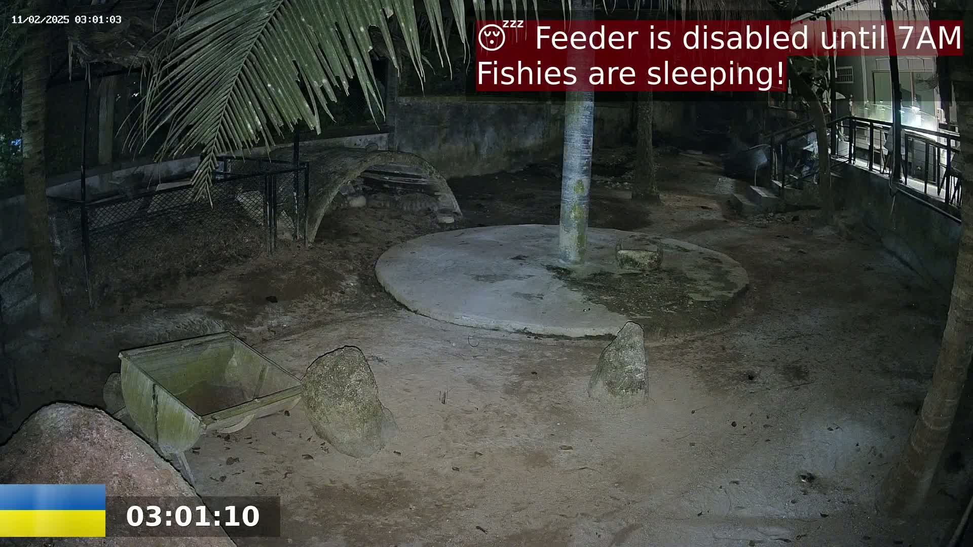 A nighttime outdoor enclosure contains a wheelbarrow, several rocks, a circular concrete structure, and a covered area, all under a palm tree.