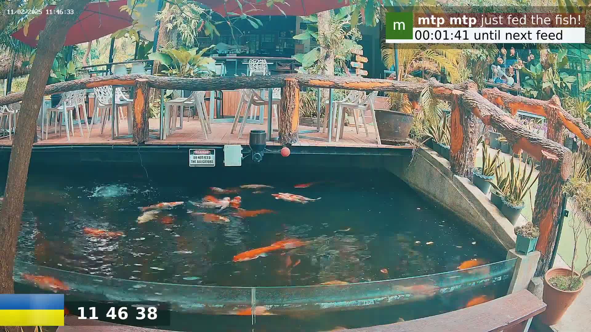 Koi swim in a pond beneath a wooden deck with outdoor seating, under a partly sunny sky.