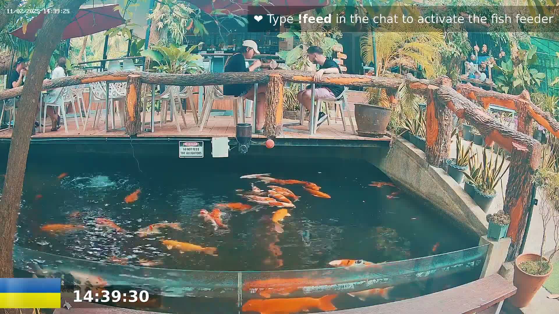 A koi pond with many orange and white fish is situated below an outdoor patio area where several people are sitting at tables.