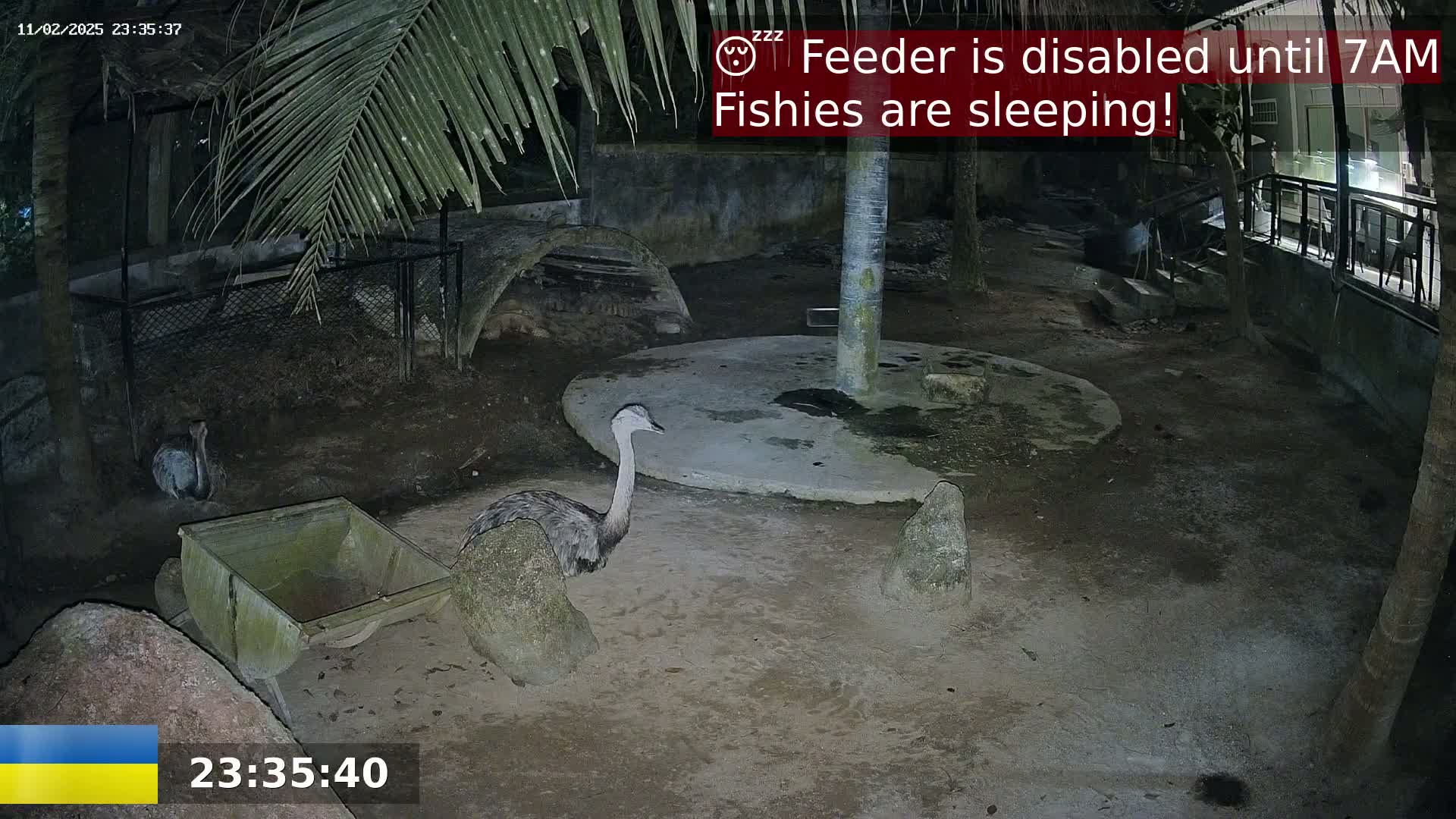 A rhea stands near a small cart in a dark, outdoor enclosure at night.