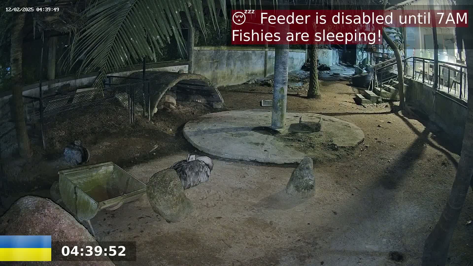 At night, a rhea-like bird rests near a stone enclosure in a dimly lit outdoor area.