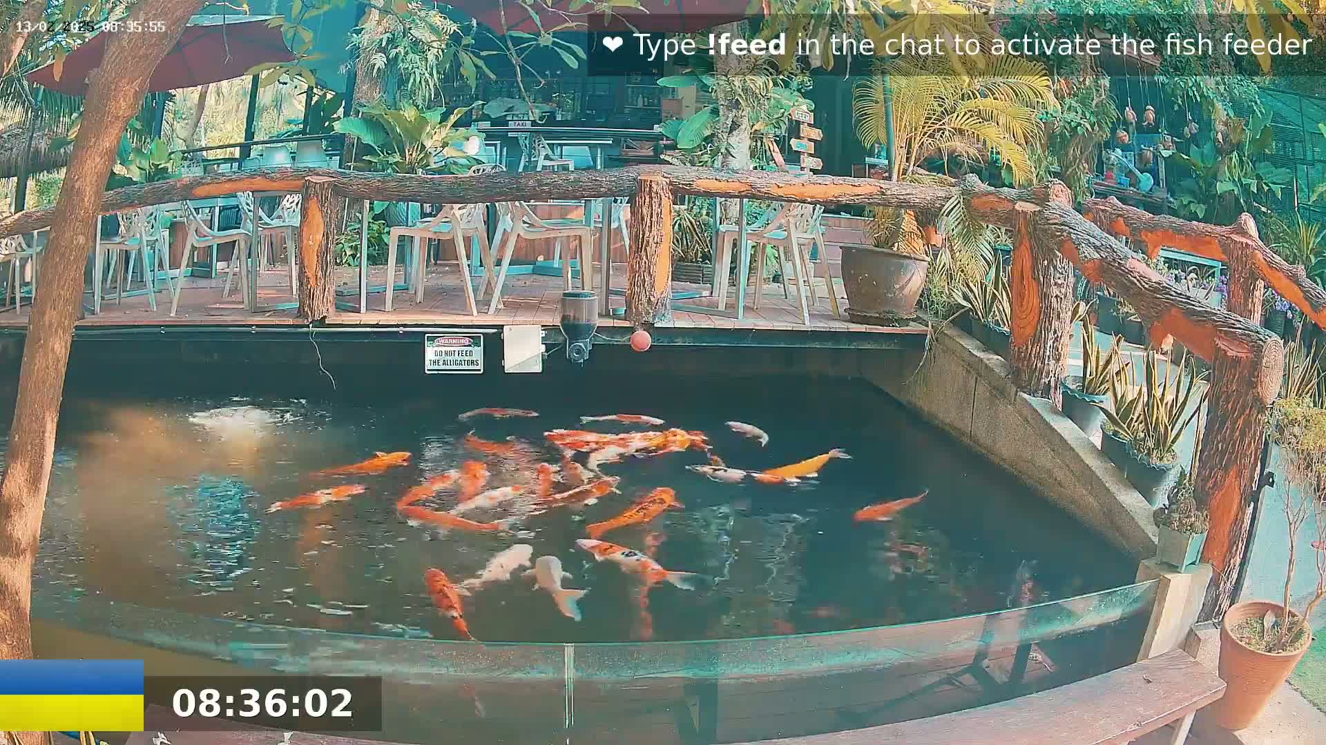 A pond filled with koi fish is situated beneath a wooden bridge next to an outdoor seating area on a sunny day.