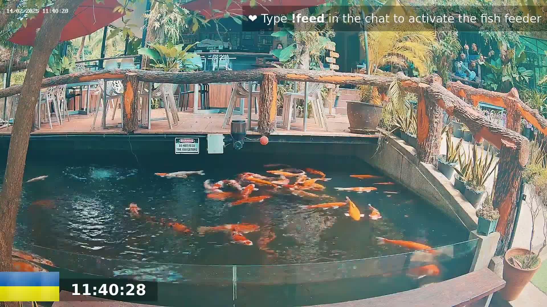 A koi pond with many orange and white fish is situated next to an outdoor patio with wooden railings and tables.