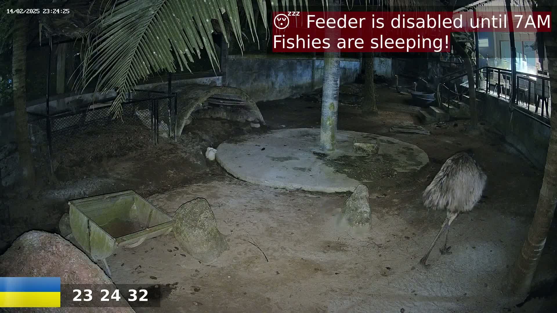 A nighttime outdoor scene shows an emu in a dirt enclosure near a small shelter, a wheelbarrow, and some rocks, under palm trees.