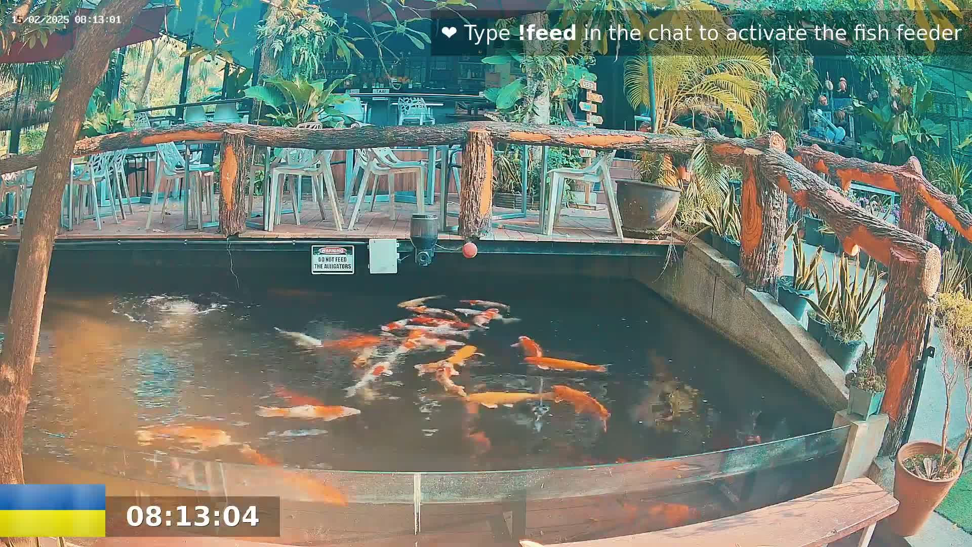 A pond filled with koi fish is situated beneath an outdoor patio with wooden railings and white chairs.