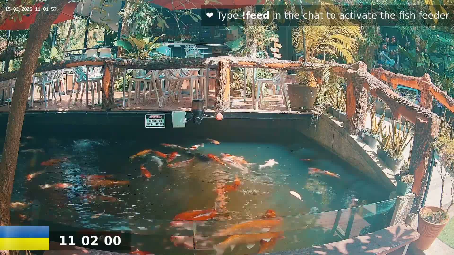 A pond filled with koi fish sits next to an outdoor patio area on a sunny day.