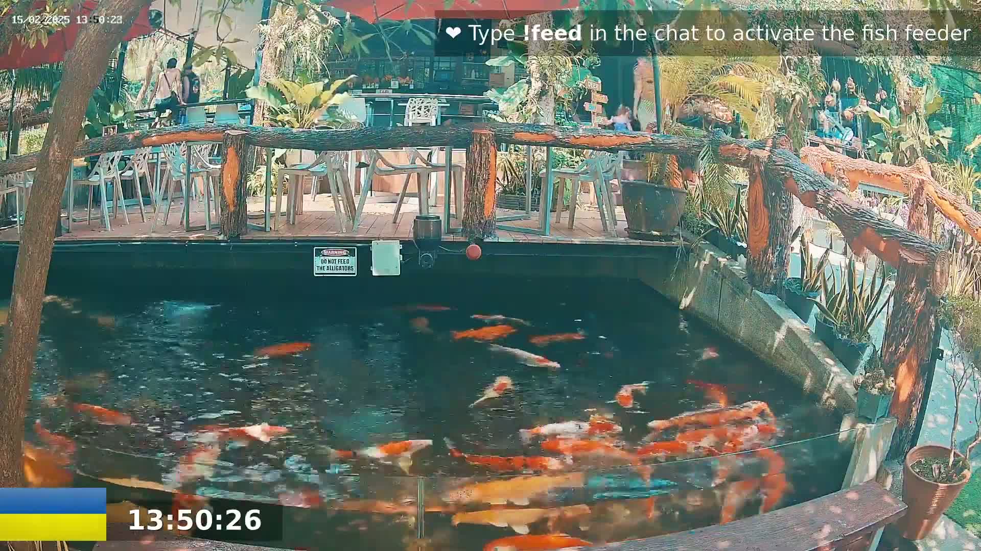 A koi pond filled with numerous colorful fish is situated beneath a wooden deck with outdoor seating, under a sunny sky.