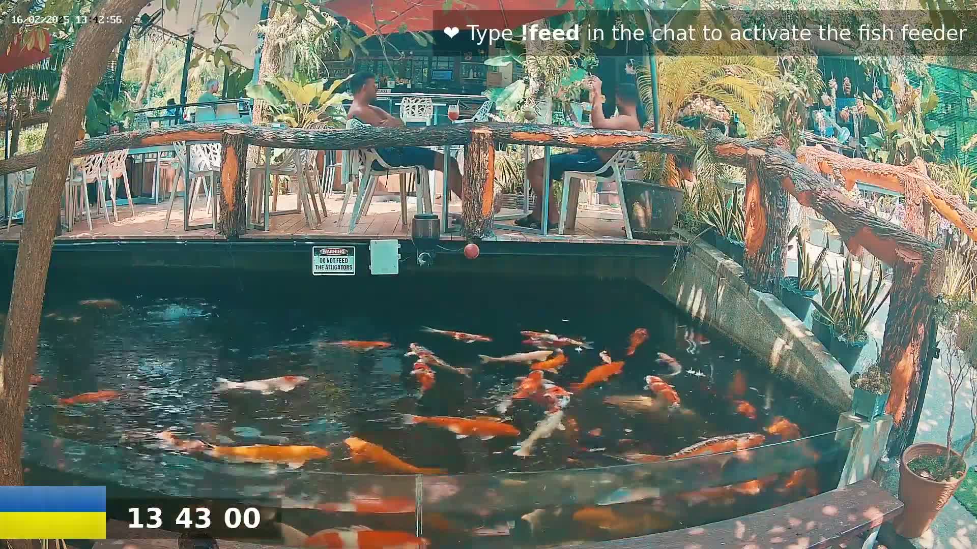 Koi swim in a pond below a wooden deck where two people sit at a table, all under a partly sunny sky.