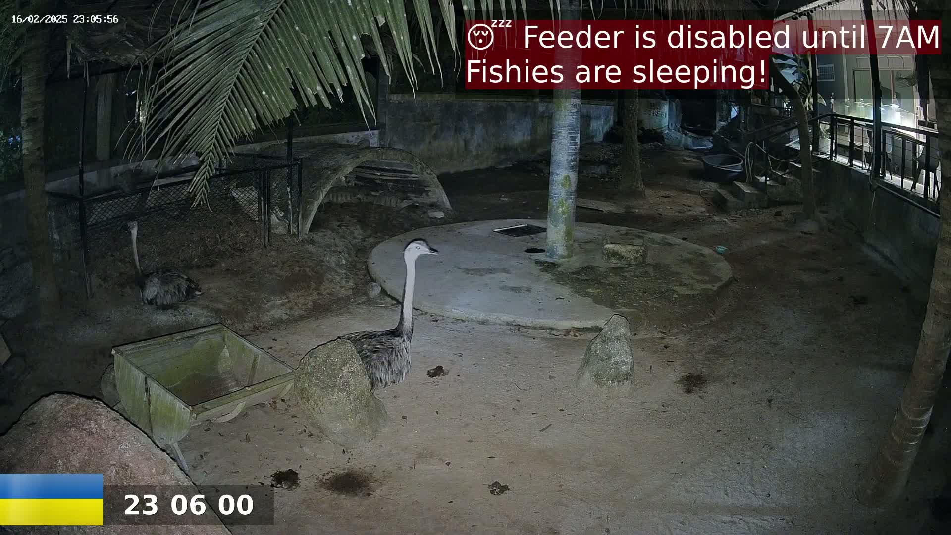 At night, under palm trees, two rheas are visible in an enclosure, one near a small cart.