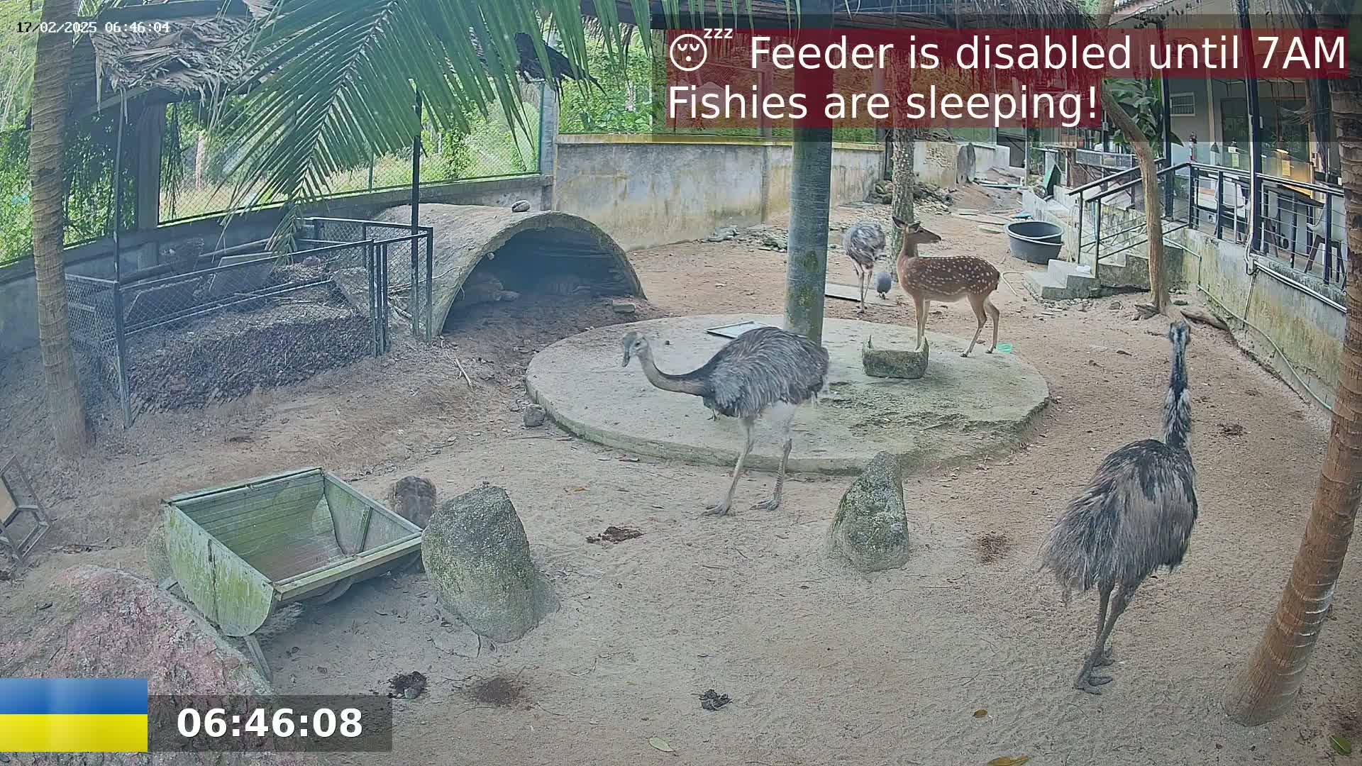 An outdoor enclosure contains two rheas, a deer, and a partially visible structure resembling a small cave, all on sandy ground under a partly cloudy sky.