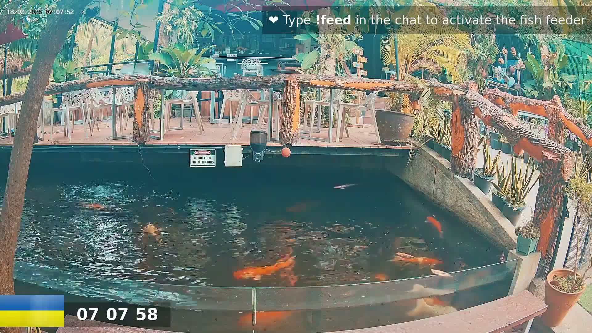 Koi fish swim in a pond below an outdoor patio with wooden railings and seating.