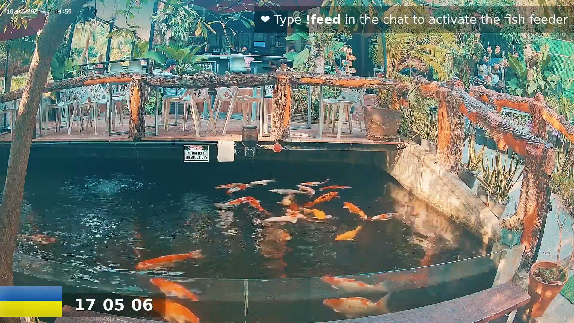 A koi pond with many orange and white fish is situated beneath an outdoor patio area with wooden railings and seating.