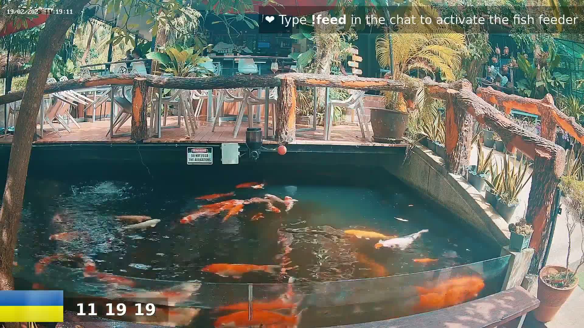 A koi pond with numerous orange and white fish is situated below an outdoor patio area with a wooden railing and several empty chairs.