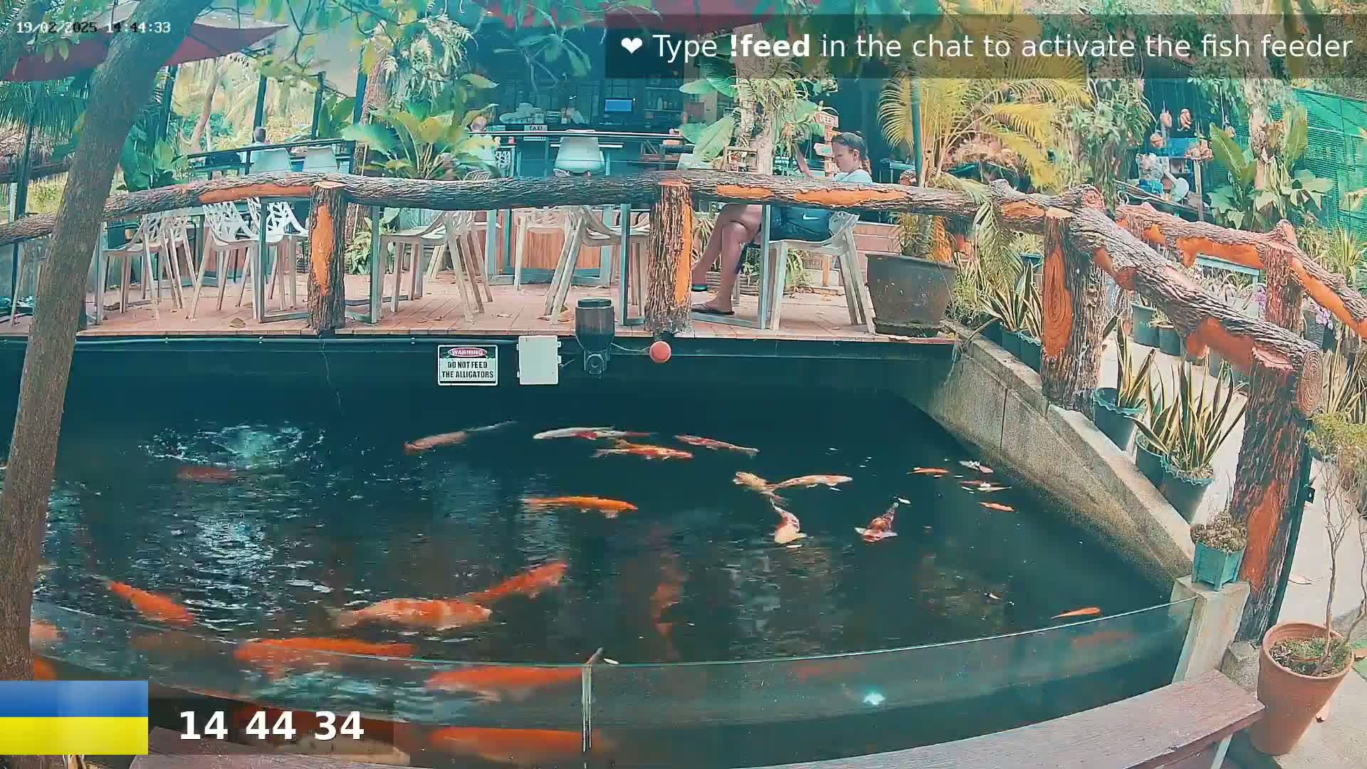 Koi swim in a pond beneath an outdoor patio with wooden railings and several people sitting at tables.