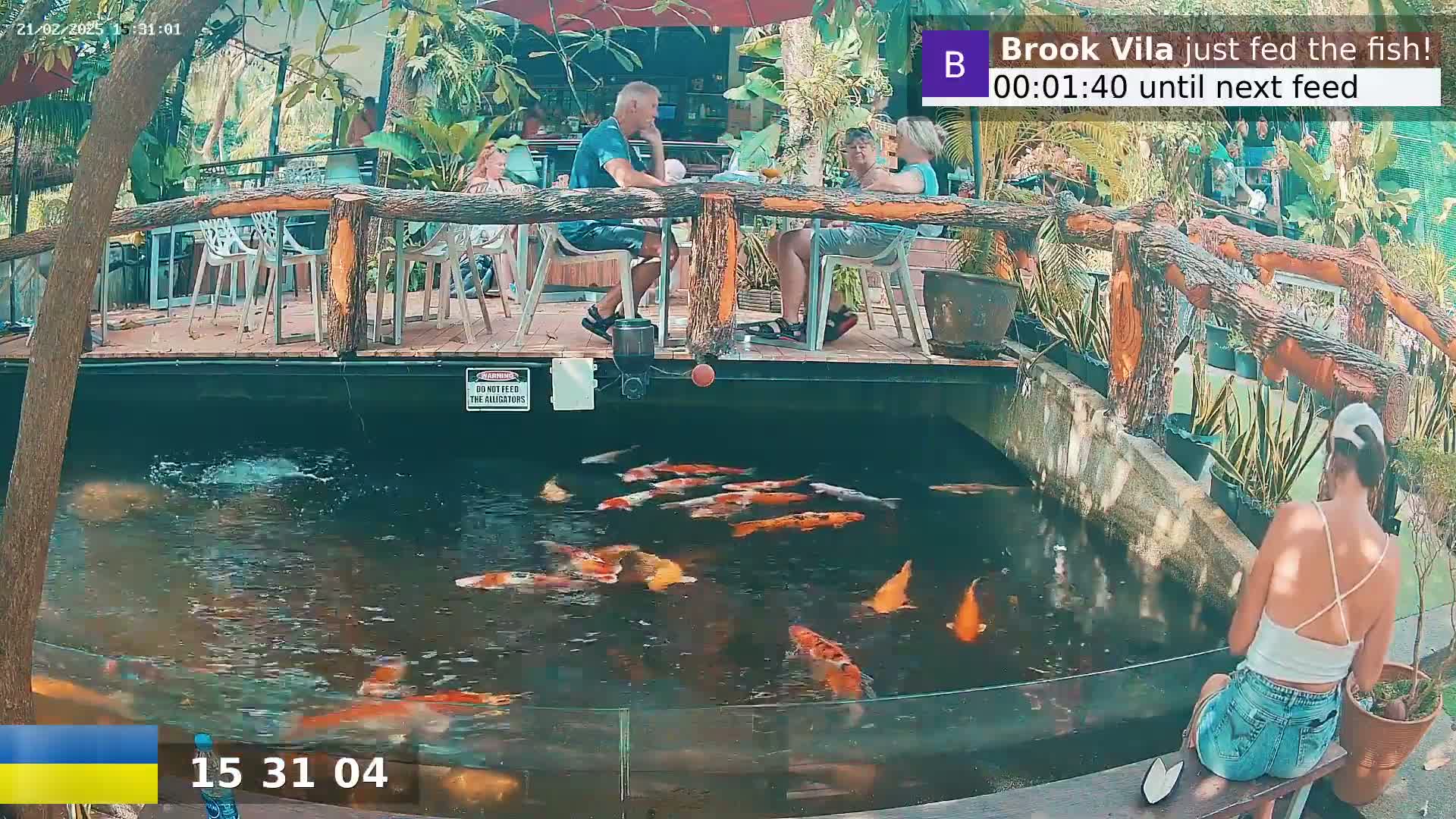 A group of people sit at an outdoor restaurant overlooking a pond filled with koi fish, under sunny skies.