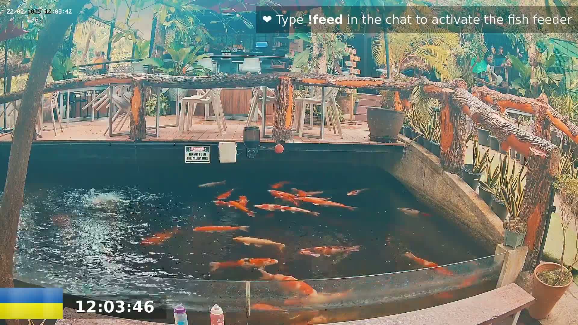 A koi pond with numerous orange and white fish is situated beneath an outdoor deck with wooden railings and potted plants, under a partly sunny sky.