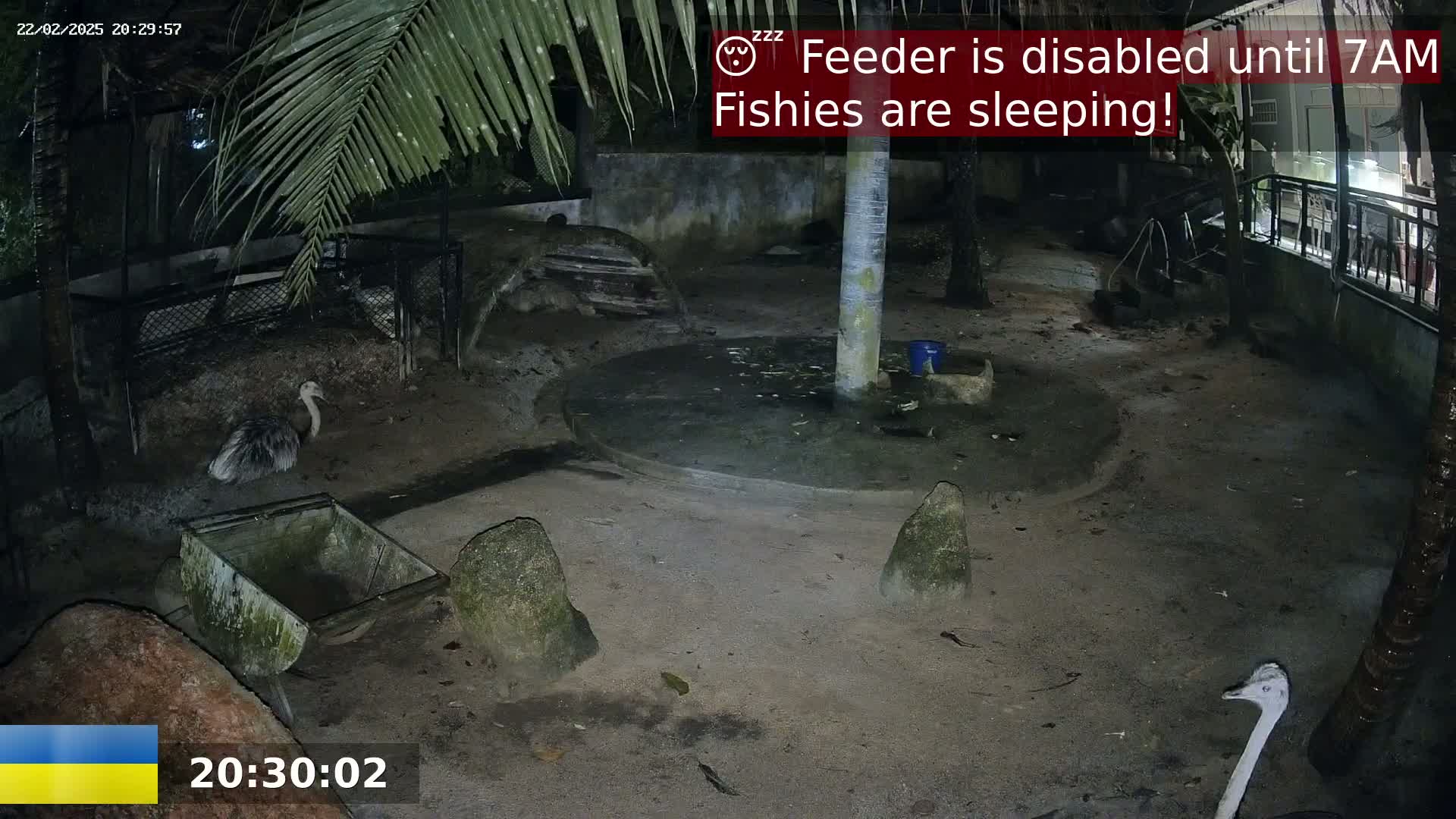 A nighttime outdoor scene shows a sandy enclosure with two ostriches, a small wooden cart, and several large rocks, under the partial cover of palm fronds.