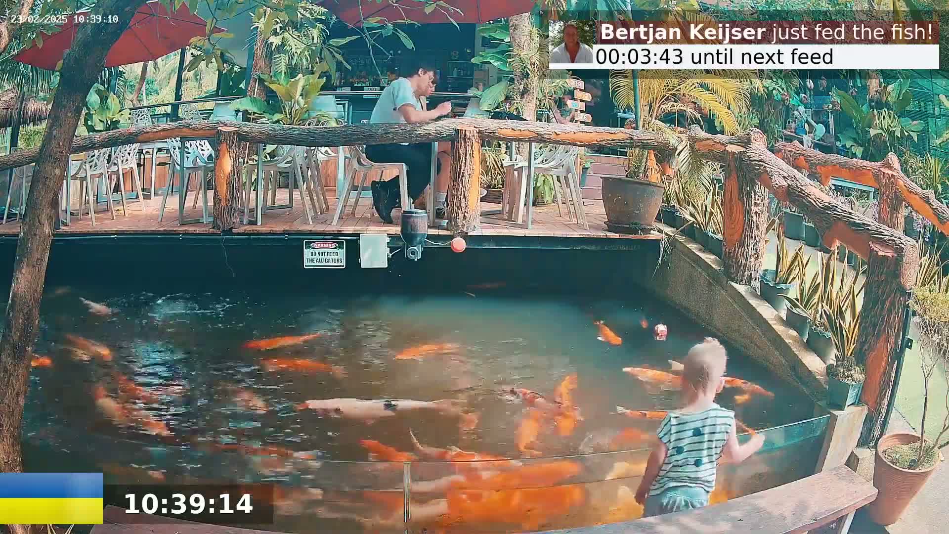 A pond filled with numerous orange and white koi fish is situated beneath an outdoor patio area with wooden railings and people sitting at tables under a partially shaded area.