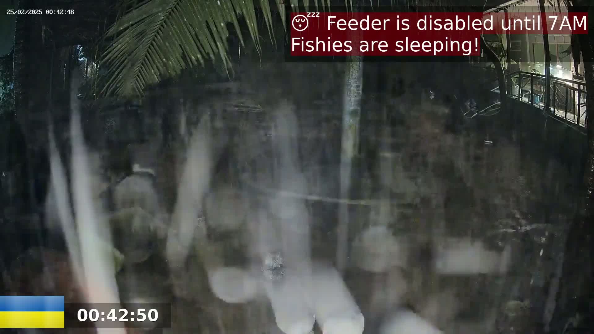 A nighttime, rainy view shows blurry shapes and foliage under a palm tree.