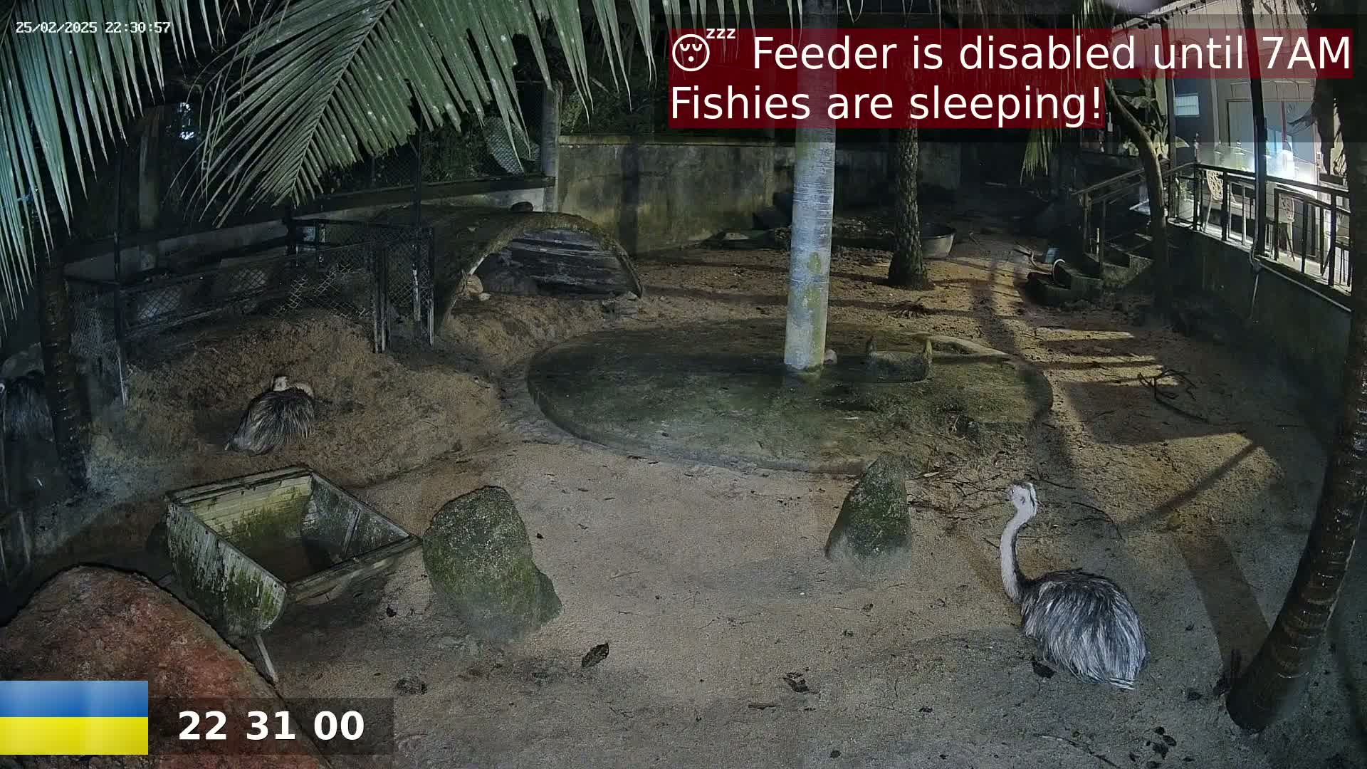 At night, under palm trees, two rheas are resting in a sandy enclosure near a small wooden cart.