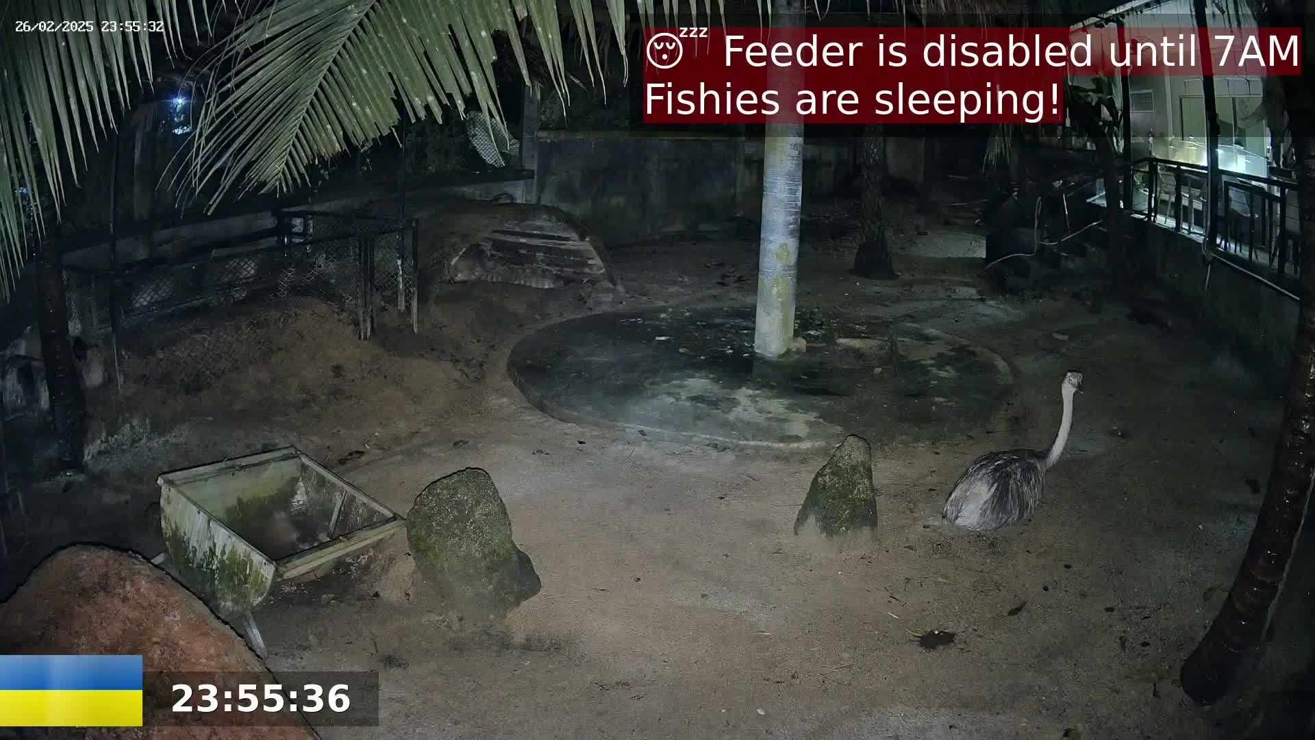 An rhea stands in a sandy enclosure at night under palm trees.