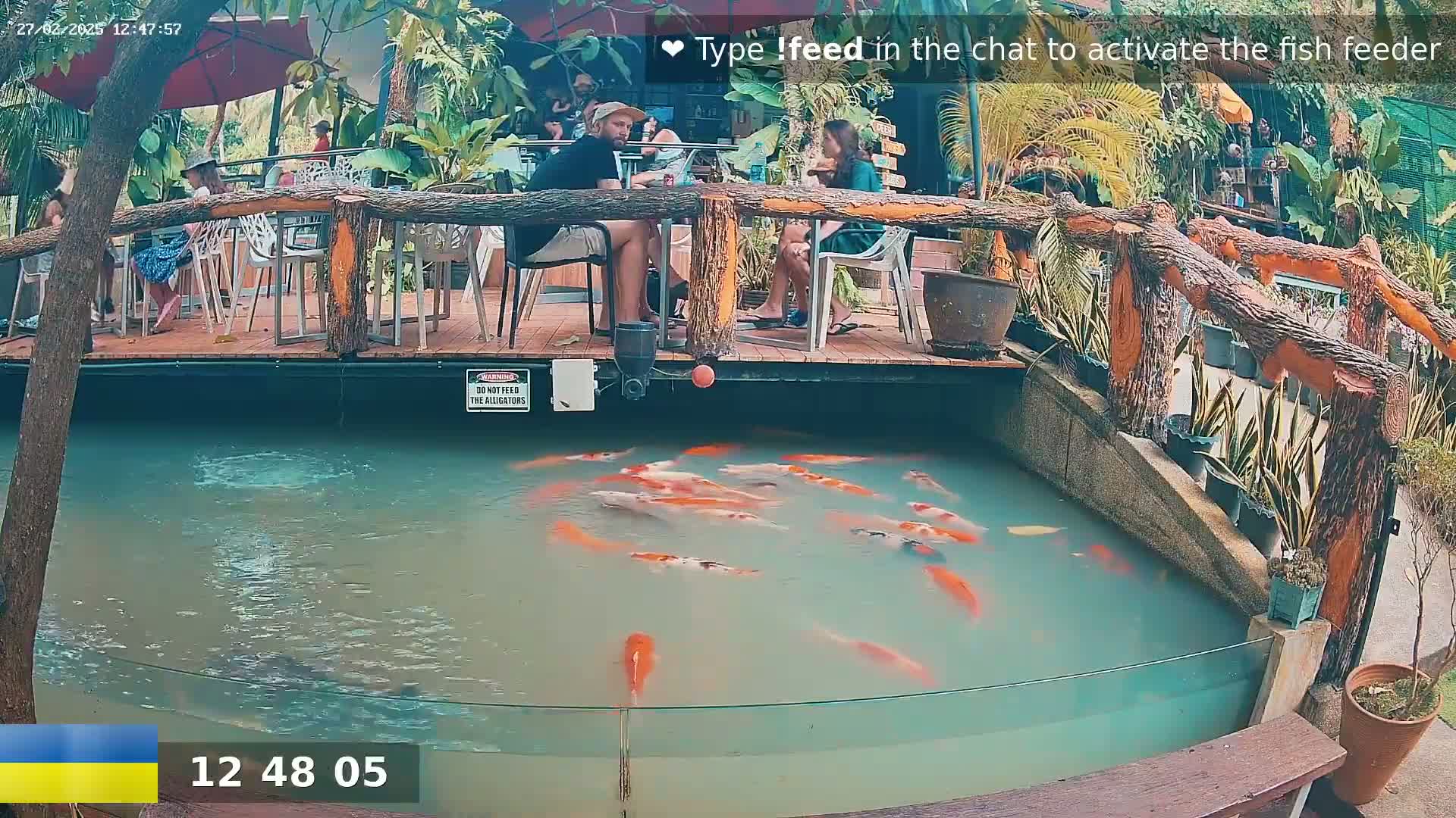 A koi pond with many fish is situated beneath an outdoor patio where several people are seated at tables.