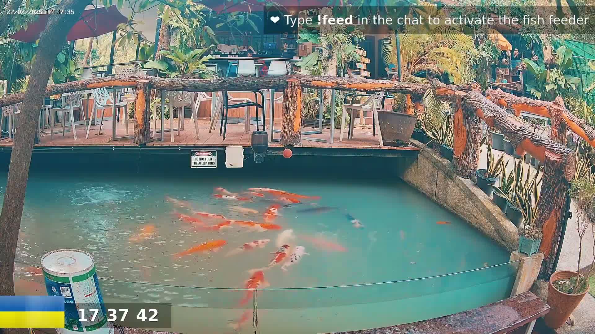 A koi pond with numerous orange and white koi swimming in it is situated next to an outdoor patio with wooden tables and chairs, surrounded by lush greenery.