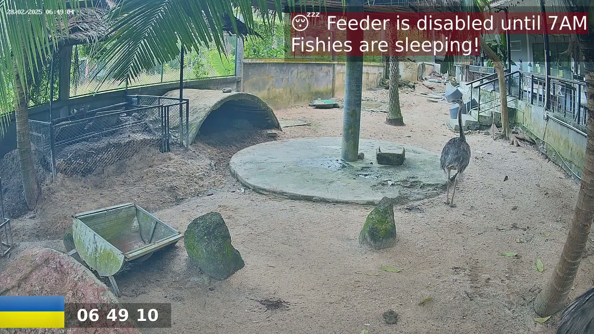 An outdoor enclosure contains a large bird, a small cart, rocks, a concrete structure, and a curved shelter, all on sandy ground under a partly sunny sky.