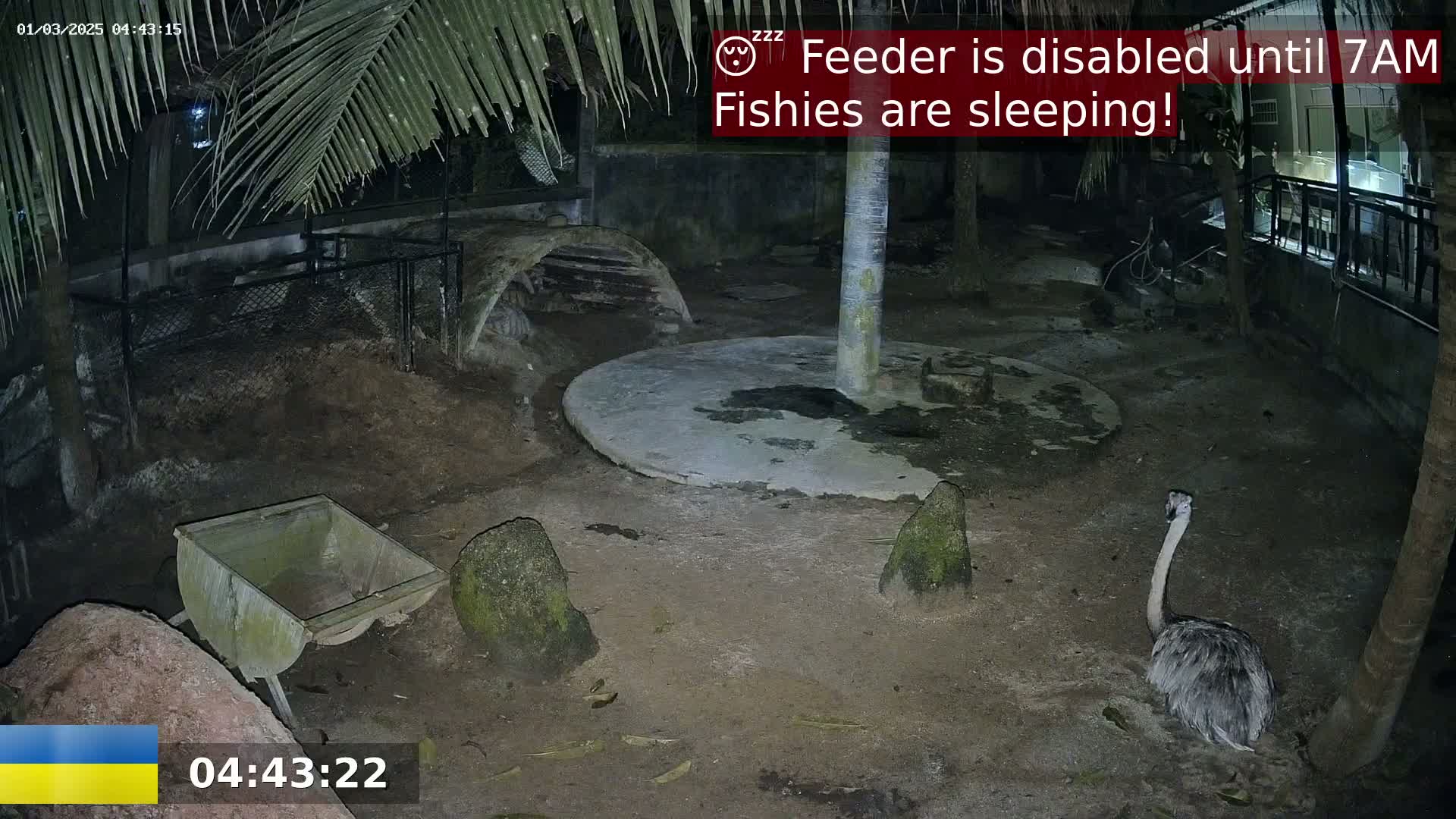 At night, an ostrich-like bird sits in a dirt enclosure surrounded by rocks, a wheelbarrow, and palm trees under dim lighting.
