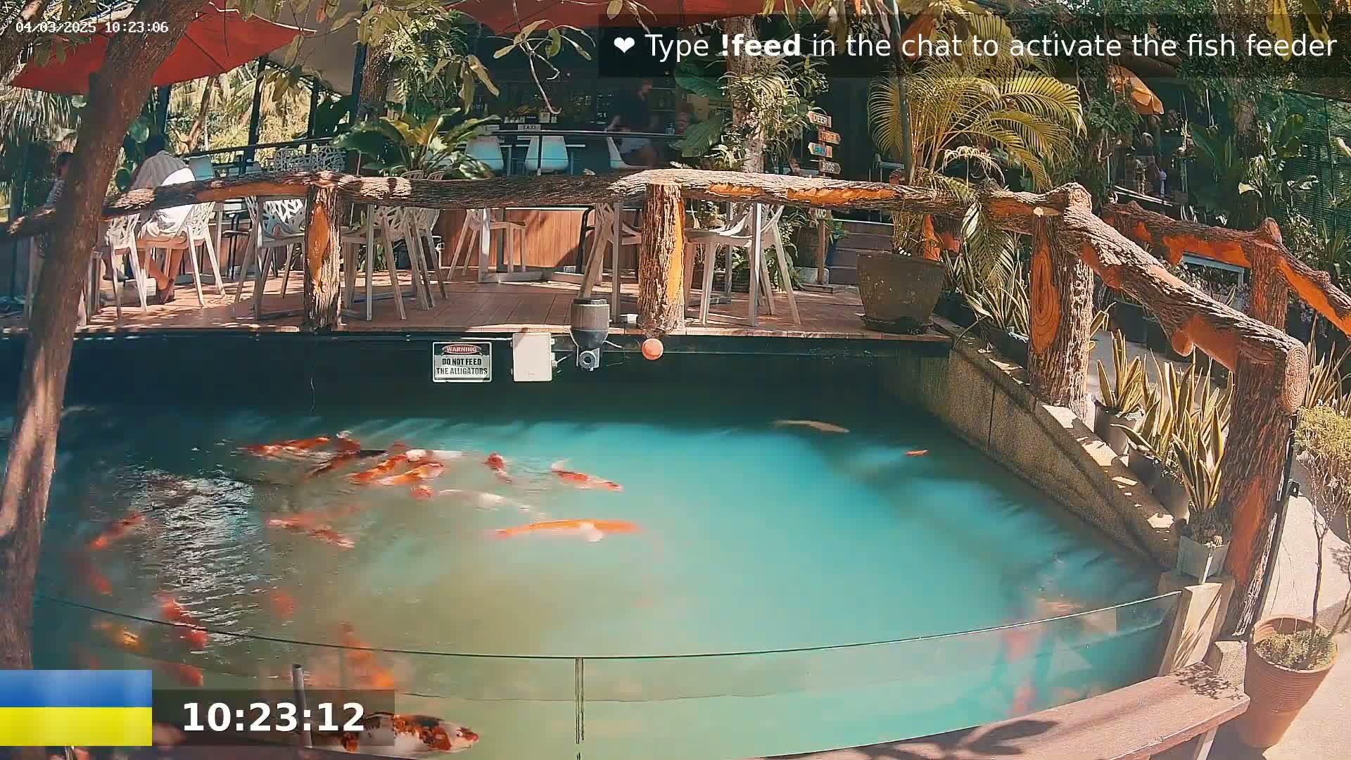 A partially shaded outdoor koi pond with numerous orange and white koi swimming in turquoise water is situated next to a wooden deck with tables and chairs.