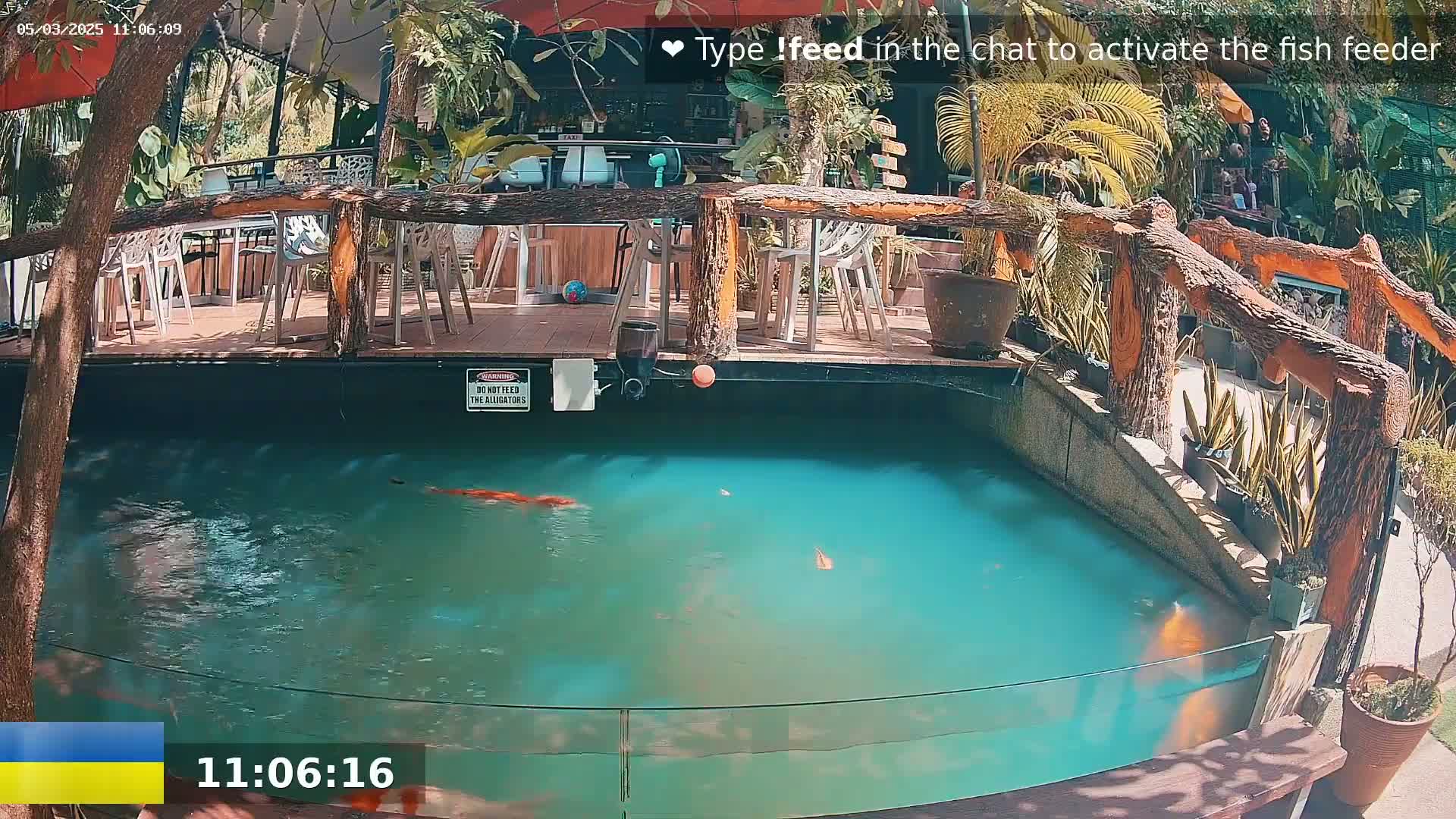 A koi pond with several orange and white fish swimming in it is viewed from above, situated beneath an outdoor patio with wooden railings and tables and chairs, under a partly sunny sky.