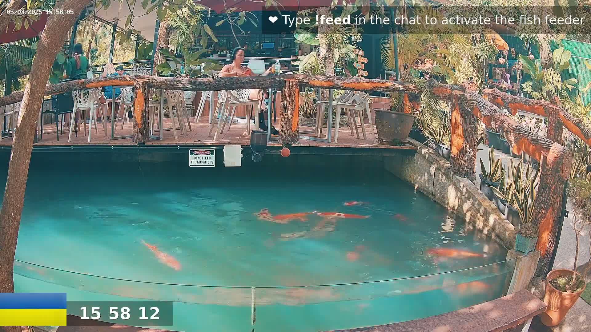 Koi swim in a turquoise pond beneath an outdoor patio with wooden railings and several people seated at tables.